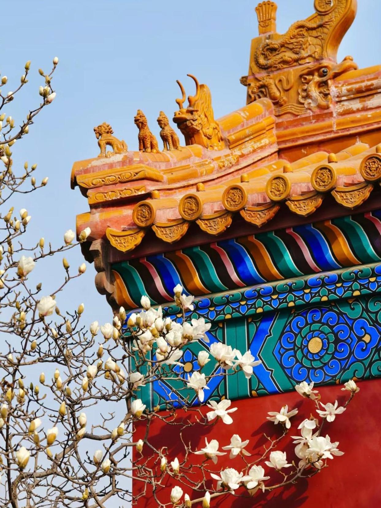 Happy Dragon Courtyard- Newly Renovated With French Windows, Near Tian'Anmen Forbidden City,Lama Temple And Heaven Temple, 3Minutes Walk From Subway,Fluent English Speaking With Tourist Sights Tickets Service ,Free Coffee &Laundry Service Beijing Exterior foto